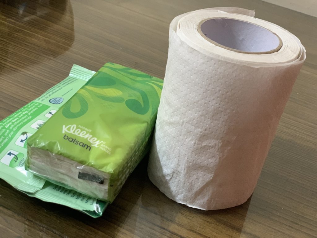 toilet paper and wipes for solo female trip to Egypt 