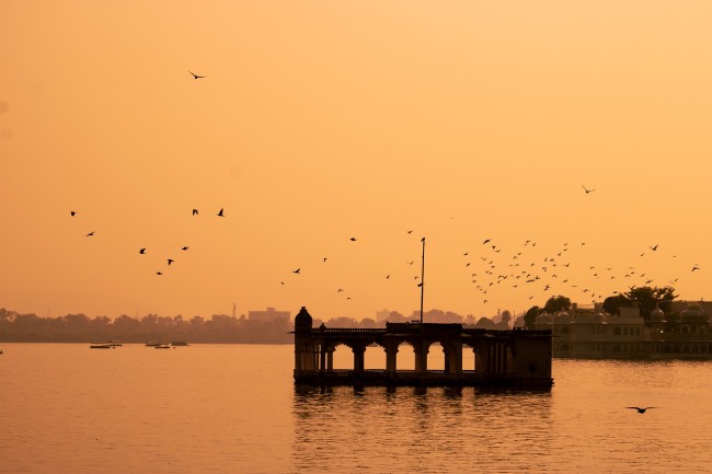What are the Activities to Do at Lake Pichola?