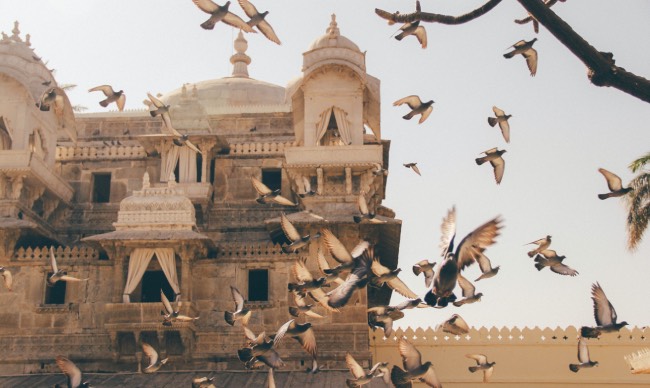 What are the famous temples in Udaipur?