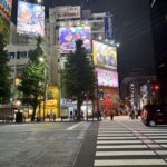 Your Ultimate Solo Travel Guide to Japan’s Electric Town, Akihabara